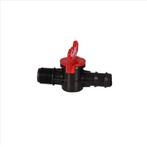 HAVA VANA 20mm