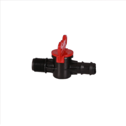 HAVA VANA 20mm